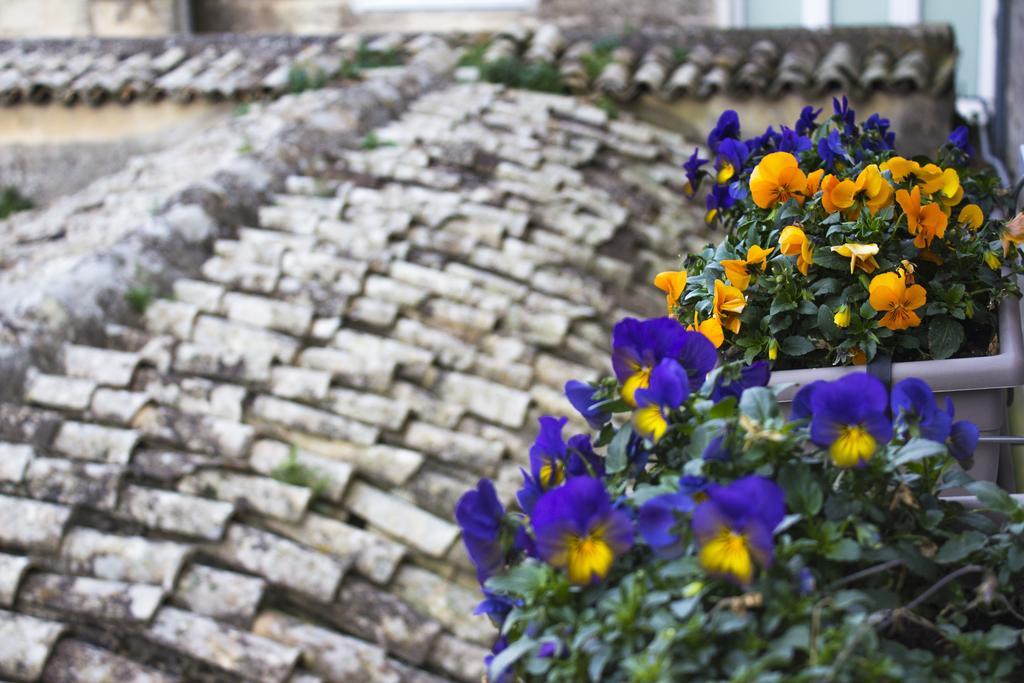 فيلا Le Violette ماتيرا المظهر الخارجي الصورة